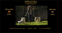 Desktop Screenshot of endagora.com